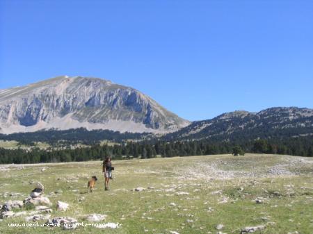 Vercors