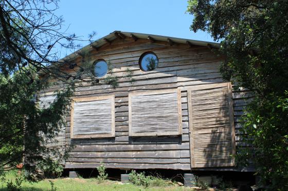 Cabane dand le bois